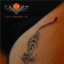 ���� Liana, �����������, 45 ��� - ��������� 14 ��� 2016 � ������ ����� (�������� � 2006 ����.)�