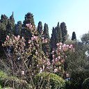  , , 60  -  5  2016     ,03.04.16.