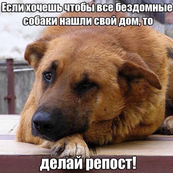    :D - 7  2016  05:03
