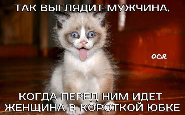   - 5  2016  13:15
