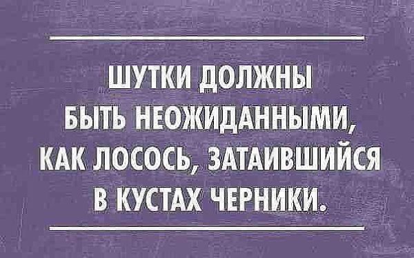  - 29  2016  08:59