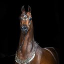  Enver, , 64  -  4  2016    