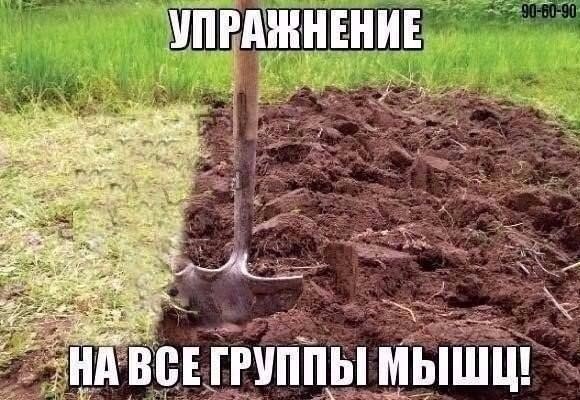 ����� � ����� | ������ ������� - 24 ���� 2016 � 21:01