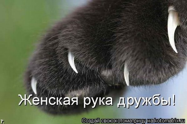 ... , !
