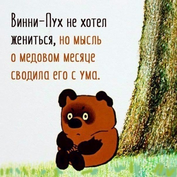   - 23  2016  11:32