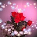 ���� �����, ���� - ��������� 12 ������ 2016 � ������ ���� ����������