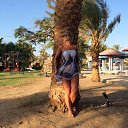 ���� ���������, ����, 52 ���� - ��������� 6 ������ 2016 � ������ ��������