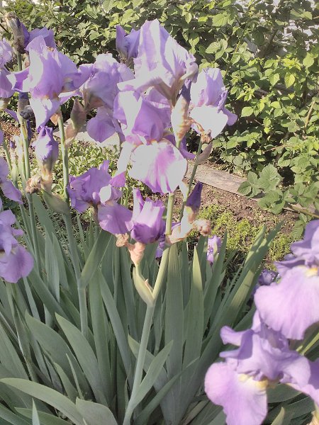  - 3  2016  09:08 - 2