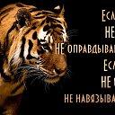 ���� ����� �����, ������ - ��������� 18 ������ 2016 � ������ ������ ��������
