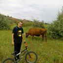 ���� ����������, ���������, 35 ��� - ��������� 30 ������� 2016