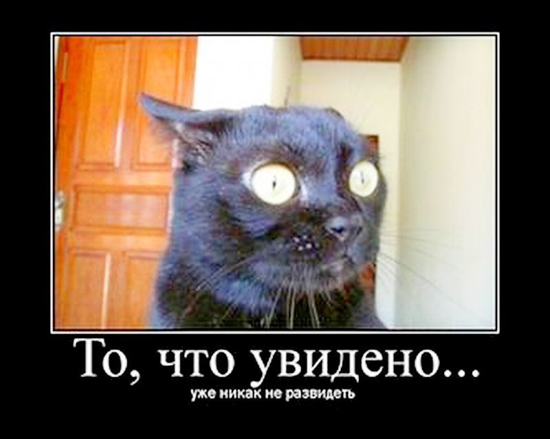 маразмами.https://fotostrana.ru/user/77881203/album/116768542/photos/ Ссылка на альбом с <a href=