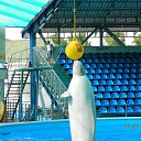 ���� �������, �����-���������, 50 ��� - ��������� 7 �������� 2016 � ������ ���� ����������