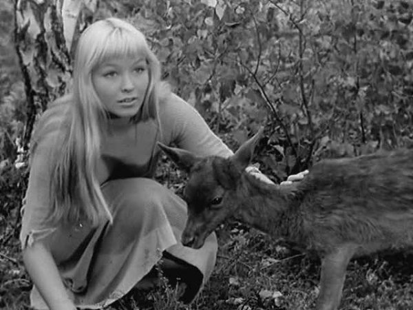   - 10  2016  16:41 - 2