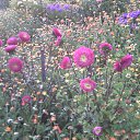 ���� ������, �����, 55 ��� - ��������� 6 ������� 2016 � ������ ���� ����������