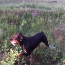 ���� �����, �����, 58 ��� - ��������� 3 ������� 2016 � ������ ���� ����������