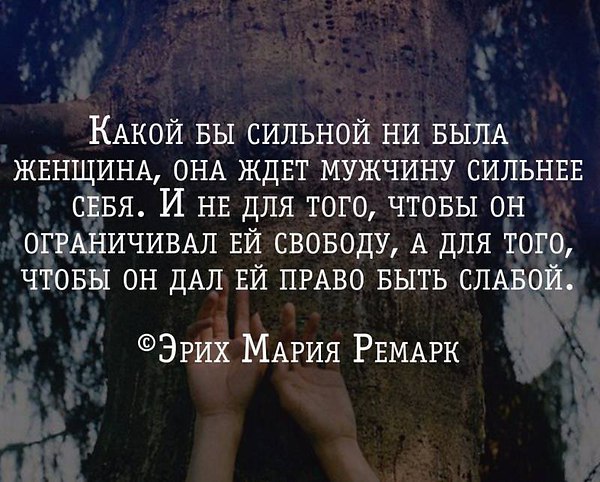 ���� - 4 ������� 2016 � 19:15