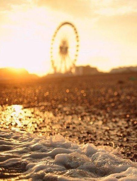 Жди новый день как маленькое чудо. И он удачу, непременно, принесет. И помни, счастье прячется ... - 3