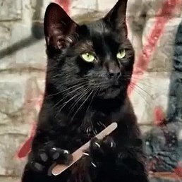 ������, ��������, 57 ���