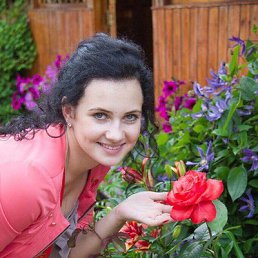 �������, ������, 33 ����