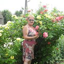 ���� �������, ���������, 69 ��� - ��������� 1 ���� 2016 � ������ ���� ����������