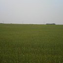 ���� ���������, �����������, 66 ��� - ��������� 20 ���� 2016 � ������ ���� ����������