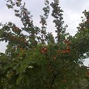 ���� Filip Lungu, �������, 66 ��� - ��������� 29 ���� 2016 � ������ ������� ����������