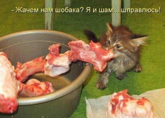 ��� �������� �������� - 7 �������� 2016 � 23:15