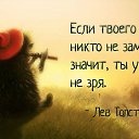 ���� ������, ������������ - ��������� 25 ��� 2016 � ������ �������� ��������