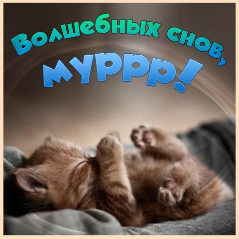 СПОКОЙНОЙ НОЧИ, ДРУЗЬЯ!!!! ВОЛШЕБНЫХ СНОВ! В лунном свете, в изумрудных тенях, В серебристом сияньи ... - 2