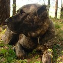 ���� ���, ������������, 46 ��� - ��������� 22 ��� 2016 � ������ �������� 2�