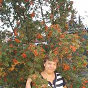 ���� �����, ������ - ��������� 23 ������� 2016 � ������ ���� ����������