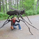 ��� ����� �� ������� ���� ����������