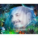 ���� Mahmoud Gamal, �������, 52 ���� - ��������� 6 �������� 2016 � ������ ���� ����������