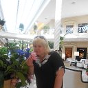 ���� ��������, ������ - ��������� 14 ��� 2016 � ������ ���� ����������