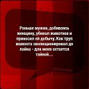 ���� ��������, ������, 49 ��� - ��������� 24 ��� 2016 � ������ ������ ��������