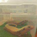 ���� ������, ������, 51 ��� - ��������� 25 ������ 2016 � ������ �����������-11�