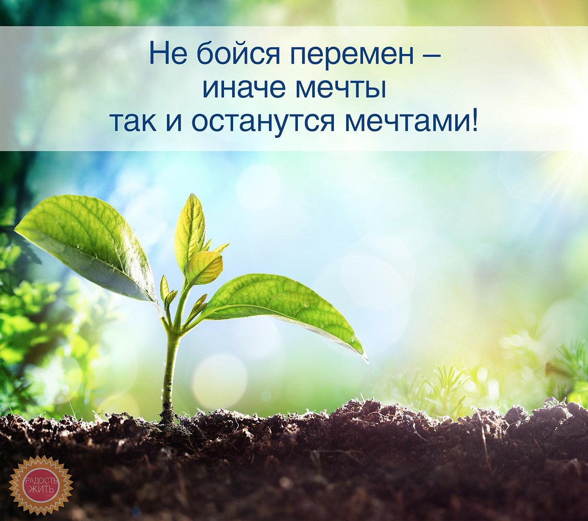  - 2  2016  12:46