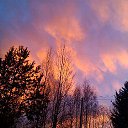 ���� �����, �����-���������, 77 ��� - ��������� 17 ���� 2016 � ������ ���� ����