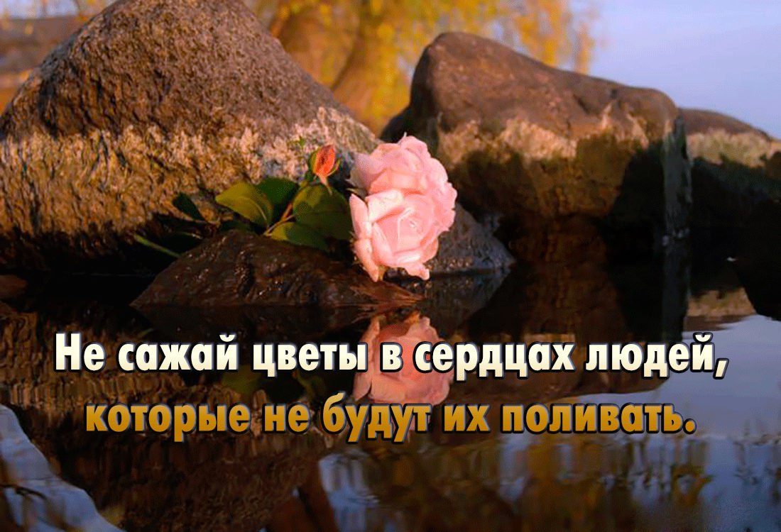  - 25  2016  19:46