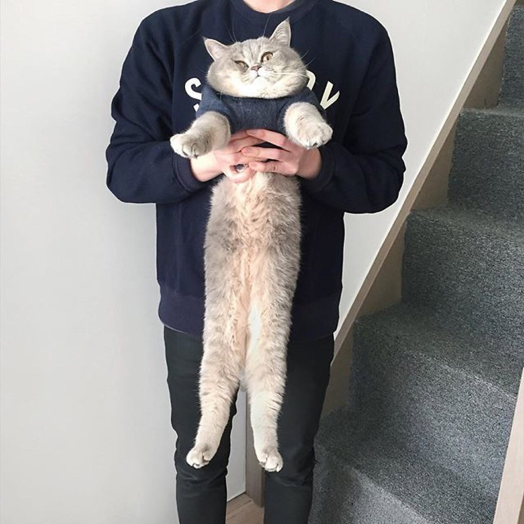  . ,   :