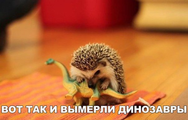    :D - 30  2016  02:06