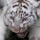 ���� ������, �������� - ��������� 5 ������ 2016 � ������ ���� ����������