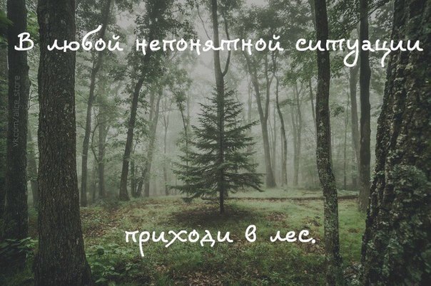   -   - 9  2016  00:06