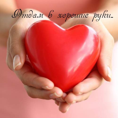 ������� - 3 ������ 2016 � 20:59