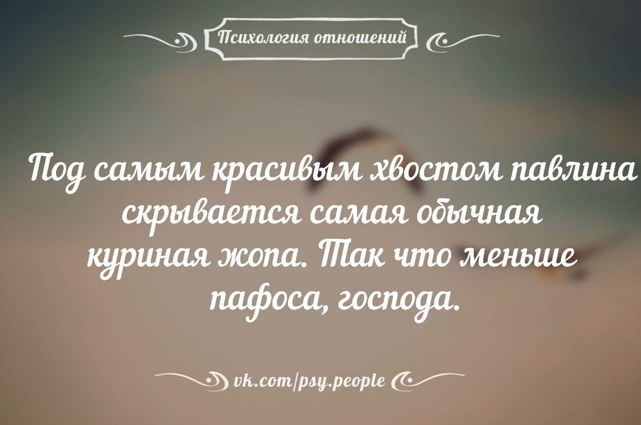   - 5  2016  14:58