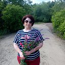 ���� 2016 ��� �� ������� ���� ����������