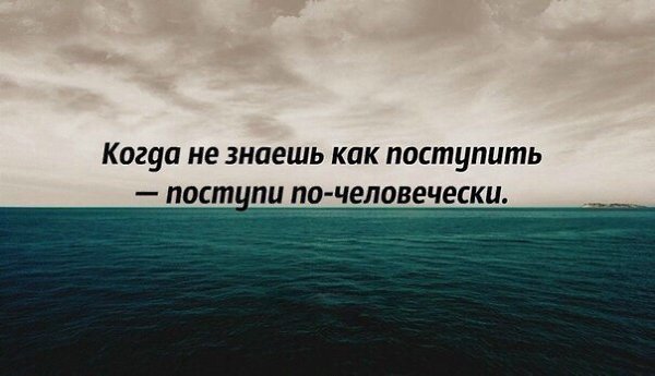   -  ,  -  - 19  2016  03:06
