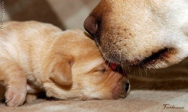 Они те же самые дети, такие же искренние, добрые, любящие всем своим сердечком. Они прекрасны!