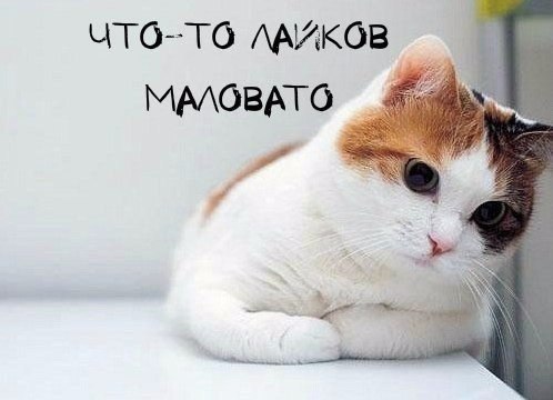    :D - 23  2016  02:30