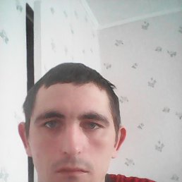 ���� �����, �����������, 42 ���� - ��������� 13 ��� 2016